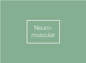 neuromuscular-therapy-christchurch